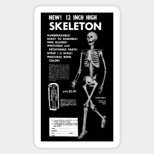 Mail-Order Skeleton Sticker